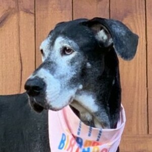 Fundraising Page: Kendra Smith